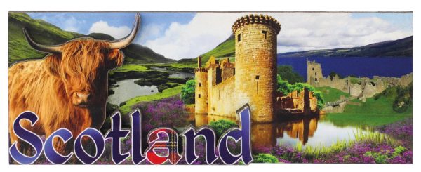 1572 Highland Cow & Castle 3D MDF Fridge Magnet