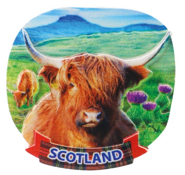1670 Resin Fridge Magnet - Highland Cow