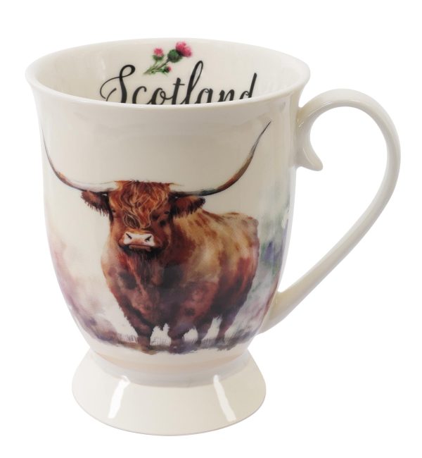 1902 Watercolour Highland Cattle Bull Mug