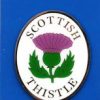 331 Metal Fridge Magnet Carded - Thistle - Image 2