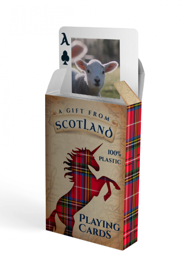 645 Plastic Playing Cards 52 images
