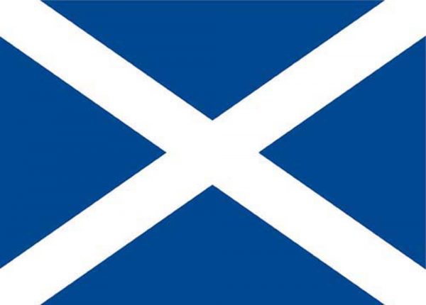 1300 Tea Towel - Saltire