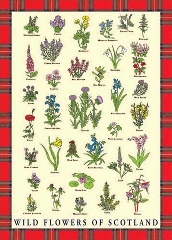 1304 Tea Towel - Wild Flowers